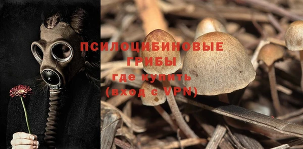 ALPHA PVP Балахна
