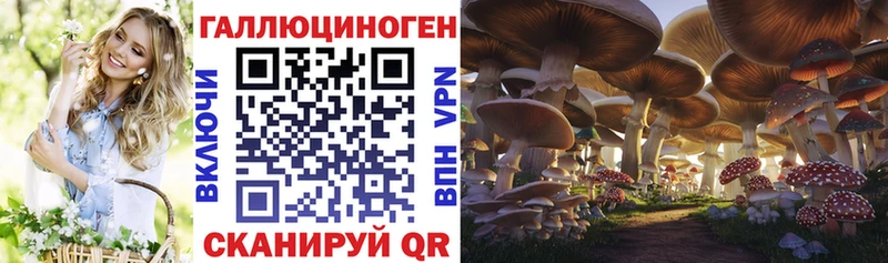 Галлюциногенные грибы MAGIC MUSHROOMS  shop какой сайт  Великий Устюг 
