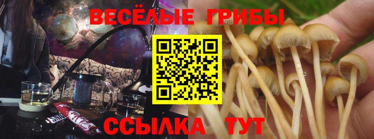 Великий Устюг  Галлюциногенные грибы GOLDEN TEACHER  Вход с VPN 