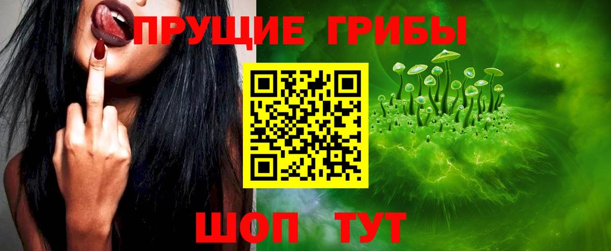 Псилоцибиновые грибы Cubensis Великий Устюг