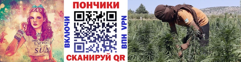 Шишки марихуана план  Великий Устюг 